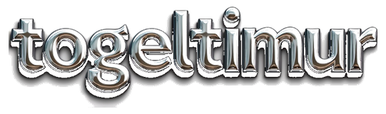 togeltimur logo
